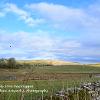 Into Smardale from New Biggin   Limited Print of 5.  Mount Sizes A4 16x12 20x16