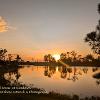 Trees and Water at Sundown   Limited Print of 5 Mount Sizes 20x16 16x12 A4